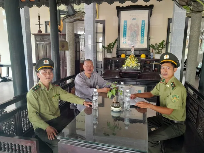 Thừa Thiên Huế khuyến cáo không mua, bán chim để phóng sinh - Ảnh 1. Thừa Thiên Huế khuyến cáo không mua, bán chim để phóng sinh - Ảnh 1.