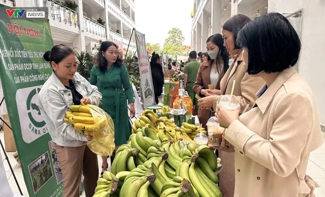 214 sản phẩm OCOP Lâm Đồng có thương hiệu và thị trường ổn định - Ảnh 2. 214 sản phẩm OCOP Lâm Đồng có thương hiệu và thị trường ổn định - Ảnh 2.