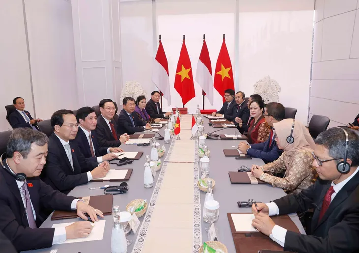 Thúc đẩy quan hệ Đối tác chiến lược Việt Nam - Indonesia - Ảnh 3. Thúc đẩy quan hệ Đối tác chiến lược Việt Nam - Indonesia - Ảnh 3.
