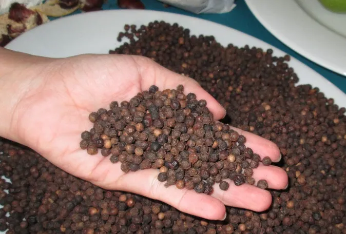 Gia tăng lừa đảo thương mại quốc tế: Cần thận trọng trong giao dịch - Ảnh 1. Gia tăng lừa đảo thương mại quốc tế: Cần thận trọng trong giao dịch - Ảnh 1.