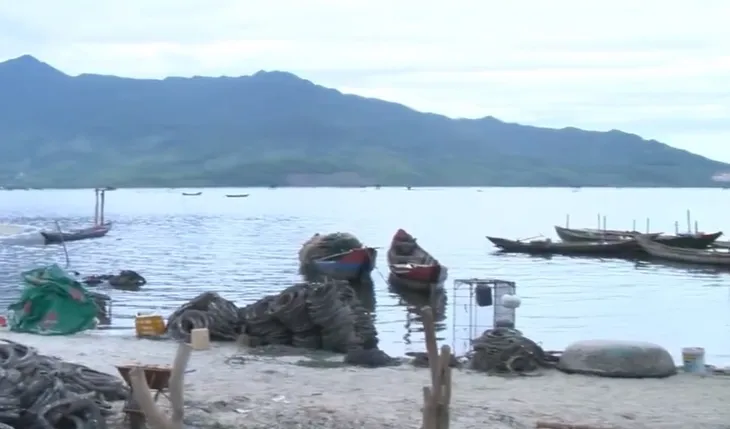 Đầm Lập An nhếch nhác, mất mỹ quan vì tình trạng nuôi hàu tự phát - Ảnh 1.