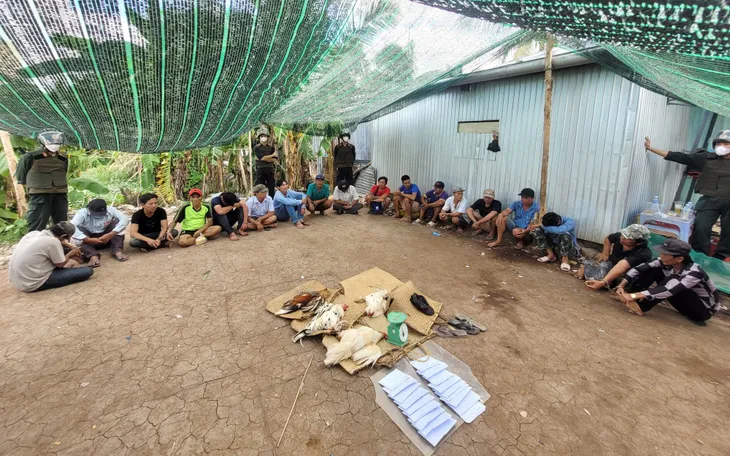 Bạc Liêu: Bắt quả tang 18 đối tượng tham gia đá gà ăn tiền - Ảnh 1. Bạc Liêu: Bắt quả tang 18 đối tượng tham gia đá gà ăn tiền - Ảnh 1.