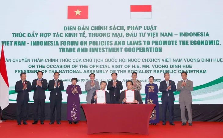 Thúc đẩy hợp tác thương mại, đầu tư Việt Nam - Indonesia - Ảnh 2. Thúc đẩy hợp tác thương mại, đầu tư Việt Nam - Indonesia - Ảnh 2.