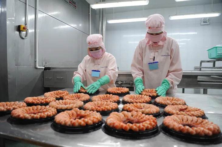 Đơn hàng tăng trở lại, xuất khẩu tôm có thể đạt trên 3 tỷ USD - Ảnh 2. Đơn hàng tăng trở lại, xuất khẩu tôm có thể đạt trên 3 tỷ USD - Ảnh 2.