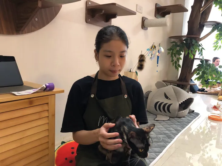 Quán cafe của những chú mèo được cứu trợ - Ảnh 5.