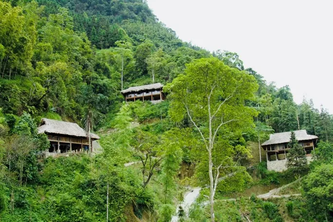 Riz dOr Ermitage: Ốc đảo thiên nhiên hoang sơ quyến rũ của vùng đất Hoàng Su Phì - Ảnh 1. Riz dOr Ermitage: Ốc đảo thiên nhiên hoang sơ quyến rũ của vùng đất Hoàng Su Phì - Ảnh 1.