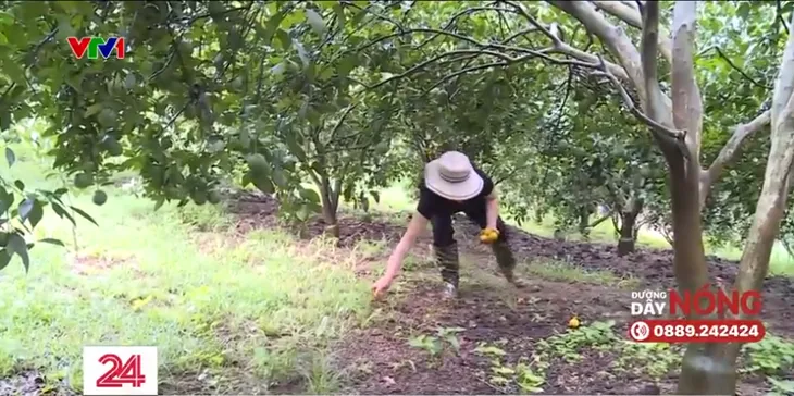 Máy kích giun “cày” nát đất nông nghiệp - Ảnh 13.