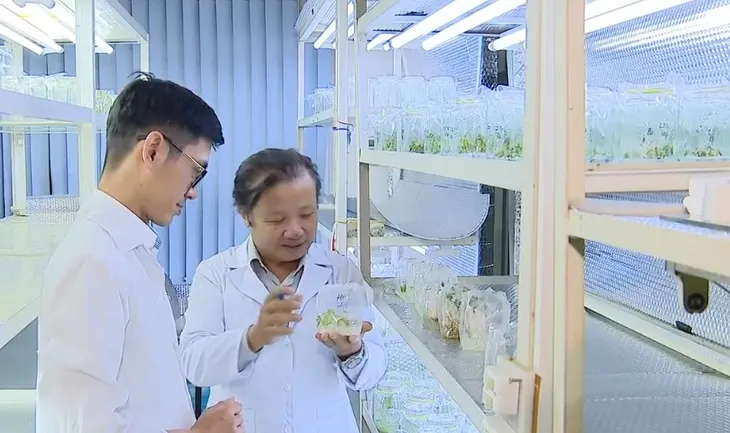 Cần có cơ chế chấp nhận rủi ro trong nghiên cứu khoa học - Ảnh 2. Cần có cơ chế chấp nhận rủi ro trong nghiên cứu khoa học - Ảnh 2.