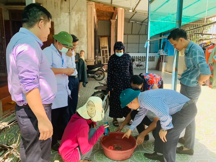 Sốt xuất huyết diễn biến phức tạp - Vì sao khó dập dịch? - Ảnh 5. Sốt xuất huyết diễn biến phức tạp - Vì sao khó dập dịch? - Ảnh 5.