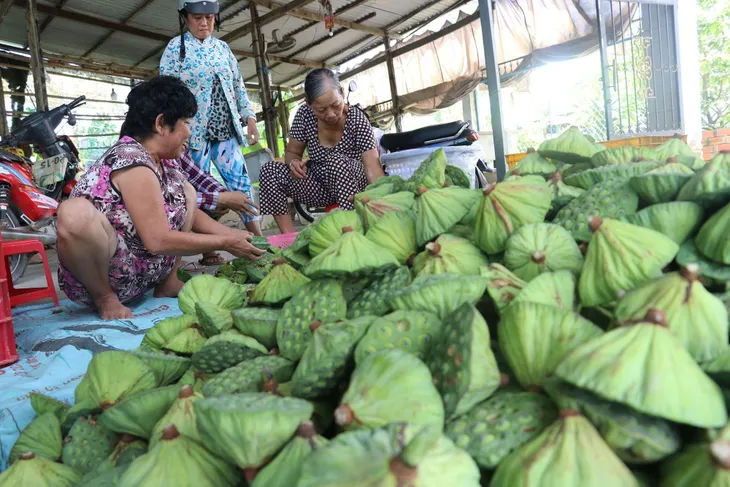 Tăng chế biến sâu - nâng giá trị cho ngành hàng sen - Ảnh 2. Tăng chế biến sâu - nâng giá trị cho ngành hàng sen - Ảnh 2.