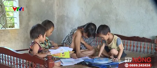 Tại sao đầu năm học nào cũng... đóng tiền mua điều hòa? - Ảnh 12.
