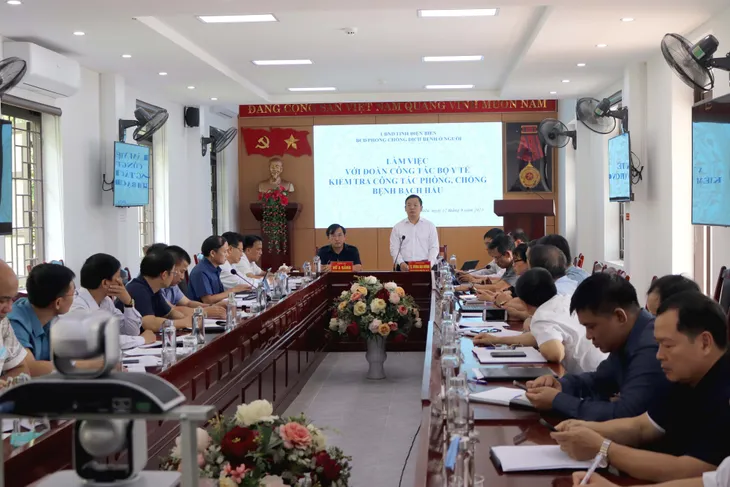 Bộ Y tế kiểm tra công tác phòng chống dịch bạch hầu tại Điện Biên - Ảnh 1. Bộ Y tế kiểm tra công tác phòng chống dịch bạch hầu tại Điện Biên - Ảnh 1.