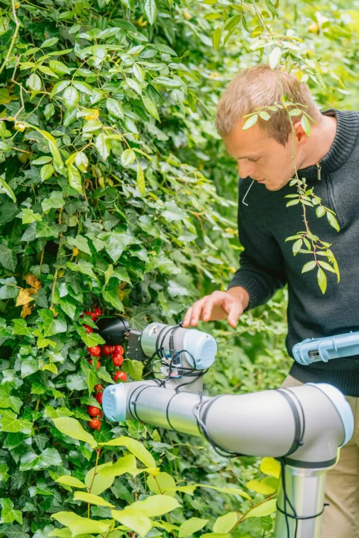 ChatGPT được sử dụng để tạo ra robot thu hoạch nông sản - Ảnh 1. ChatGPT được sử dụng để tạo ra robot thu hoạch nông sản - Ảnh 1.