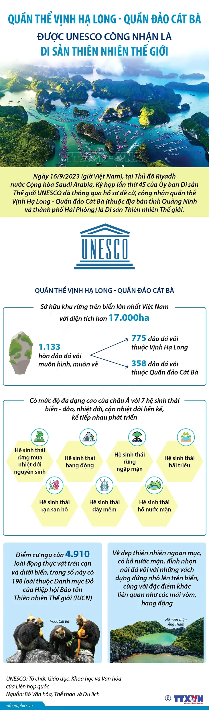 Trách nhiệm lớn hơn đối với Việt Nam trong bảo tồn và phát huy giá trị của di sản - Ảnh 2. Trách nhiệm lớn hơn đối với Việt Nam trong bảo tồn và phát huy giá trị của di sản - Ảnh 2.