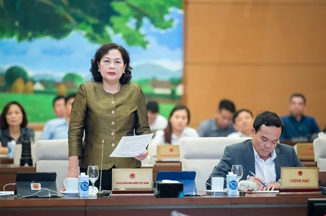 Doanh nghiệp sân sau trong ngân hàng, Thống đốc nói gì? - Ảnh 2. Doanh nghiệp sân sau trong ngân hàng, Thống đốc nói gì? - Ảnh 2.