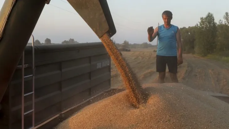 Ukraine kiện Ba Lan, Hungary và Slovakia lên WTO về lệnh cấm ngũ cốc đơn phương - Ảnh 1. Ukraine kiện Ba Lan, Hungary và Slovakia lên WTO về lệnh cấm ngũ cốc đơn phương - Ảnh 1.
