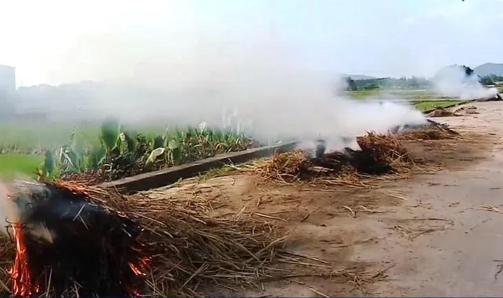 Hạn chế đốt rơm rạ uy hiếp an toàn bay - Ảnh 2. Hạn chế đốt rơm rạ uy hiếp an toàn bay - Ảnh 2.