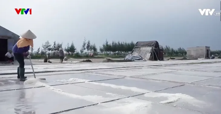 Mỗi năm Việt Nam nhập khẩu hàng tỷ USD tiền muối - Ảnh 4. Mỗi năm Việt Nam nhập khẩu hàng tỷ USD tiền muối - Ảnh 4.