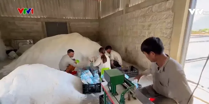 Mỗi năm Việt Nam nhập khẩu hàng tỷ USD tiền muối - Ảnh 2. Mỗi năm Việt Nam nhập khẩu hàng tỷ USD tiền muối - Ảnh 2.