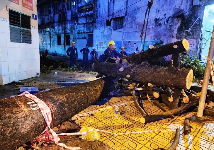TP Hồ Chí Minh: Mưa to, dông lốc làm đổ cây, tốc mái, đường ngập như sông - Ảnh 2. TP Hồ Chí Minh: Mưa to, dông lốc làm đổ cây, tốc mái, đường ngập như sông - Ảnh 2.