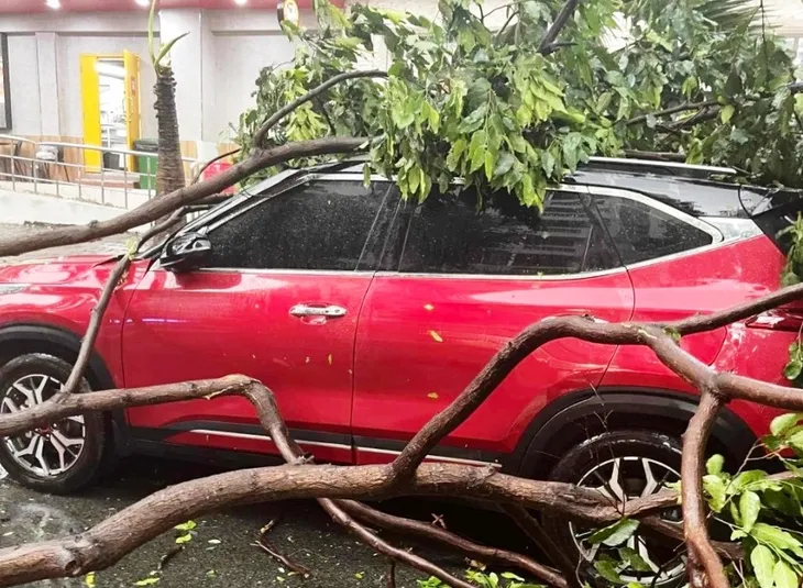TP Hồ Chí Minh: Mưa to, dông lốc làm đổ cây, tốc mái, đường ngập như sông - Ảnh 3. TP Hồ Chí Minh: Mưa to, dông lốc làm đổ cây, tốc mái, đường ngập như sông - Ảnh 3.