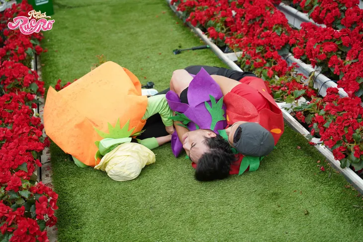Hành trình rực rỡ: Negav ăn cú tát từ Phát La, Bích Phương bị ép cưới - Ảnh 1. Hành trình rực rỡ: Negav ăn cú tát từ Phát La, Bích Phương bị ép cưới - Ảnh 1.