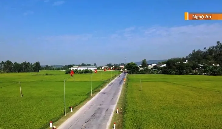 Xã vùng Công giáo đón Tết Độc lập - Ảnh 4. Xã vùng Công giáo đón Tết Độc lập - Ảnh 4.