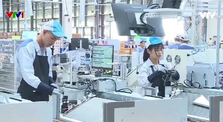 50 năm quan hệ Việt Nam - Nhật Bản - Ảnh 1. 50 năm quan hệ Việt Nam - Nhật Bản - Ảnh 1.