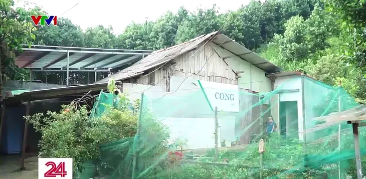 Cặp lá yêu thương: Cô gái nhỏ hàng ngày đi bán rau phụ gia đình - Ảnh 4. Cặp lá yêu thương: Cô gái nhỏ hàng ngày đi bán rau phụ gia đình - Ảnh 4.