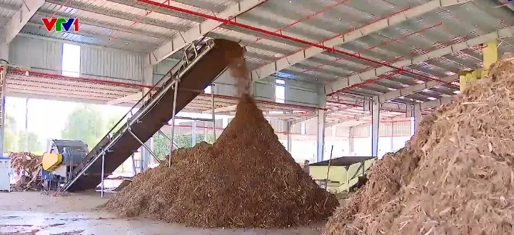 Xuất khẩu “phế phẩm” ngành gỗ dự kiến đem về 800 triệu USD/năm - Ảnh 2. Xuất khẩu “phế phẩm” ngành gỗ dự kiến đem về 800 triệu USD/năm - Ảnh 2.