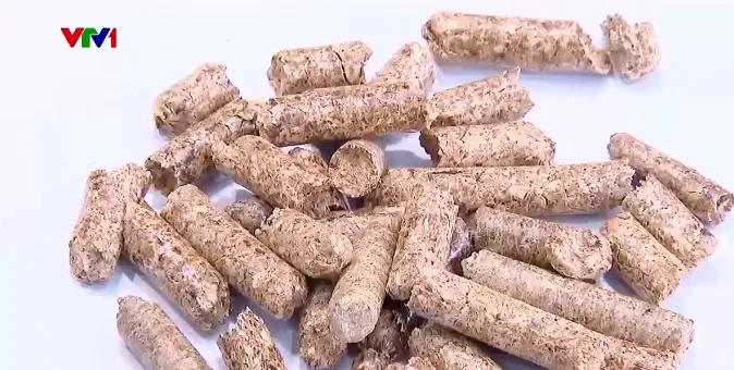 Xuất khẩu “phế phẩm” ngành gỗ dự kiến đem về 800 triệu USD/năm - Ảnh 1. Xuất khẩu “phế phẩm” ngành gỗ dự kiến đem về 800 triệu USD/năm - Ảnh 1.