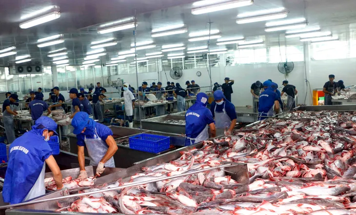 Xuất khẩu thủy sản trở lại “đường đua” - Ảnh 1. Xuất khẩu thủy sản trở lại “đường đua” - Ảnh 1.
