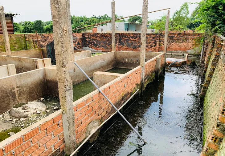 Bà Rịa - Vũng Tàu: Trại nuôi heo gây ô nhiễm môi trường - Ảnh 3. Bà Rịa - Vũng Tàu: Trại nuôi heo gây ô nhiễm môi trường - Ảnh 3.