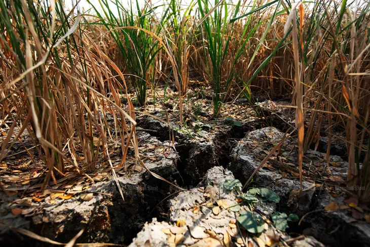 Thái Lan thành lập trung tâm giám sát El Nino - Ảnh 1. Thái Lan thành lập trung tâm giám sát El Nino - Ảnh 1.