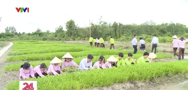 Cần hướng nghiệp sớm, hạn chế tình trạng sinh viên chuyển ngành - Ảnh 2. Cần hướng nghiệp sớm, hạn chế tình trạng sinh viên chuyển ngành - Ảnh 2.