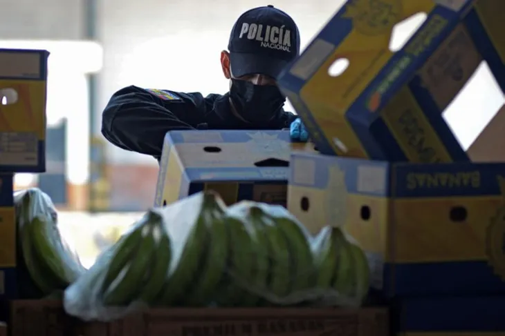 Phát hiện hàng loạt vụ vận chuyển cocaine ngụy trang trong container chuối từ Ecuador - Ảnh 1. Phát hiện hàng loạt vụ vận chuyển cocaine ngụy trang trong container chuối từ Ecuador - Ảnh 1.