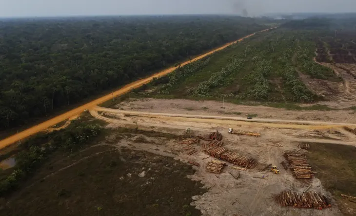 Nạn phá rừng Amazon ở Brazil giảm 66% trong tháng 8 - Ảnh 1. Nạn phá rừng Amazon ở Brazil giảm 66% trong tháng 8 - Ảnh 1.
