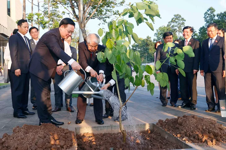 Tăng cường hợp tác lập pháp Việt Nam - Nhật Bản - Ảnh 11. Tăng cường hợp tác lập pháp Việt Nam - Nhật Bản - Ảnh 11.