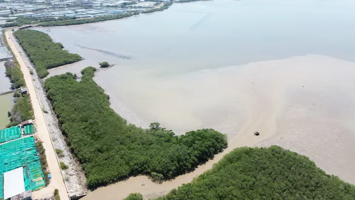 Ninh Thuận: Phát triển và bảo tồn đa dạng sinh học - Ảnh 5. Ninh Thuận: Phát triển và bảo tồn đa dạng sinh học - Ảnh 5.