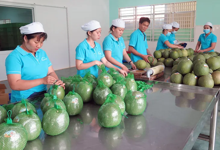 2023 - năm thắng lớn của nông sản Việt - Ảnh 1. 2023 - năm thắng lớn của nông sản Việt - Ảnh 1.
