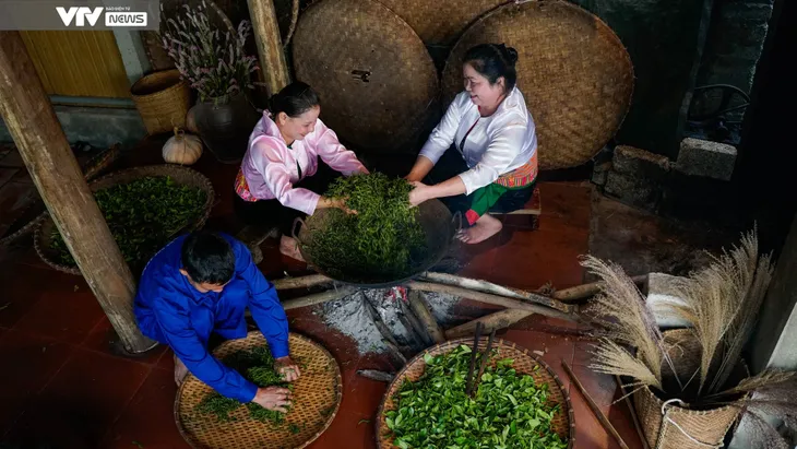 Cận cảnh quy trình sản xuất thủ công chè xanh Đinh Bát Tiên đặc sản Long Cốc (Phú Thọ) - Ảnh 6. Cận cảnh quy trình sản xuất thủ công chè xanh Đinh Bát Tiên đặc sản Long Cốc (Phú Thọ) - Ảnh 6.