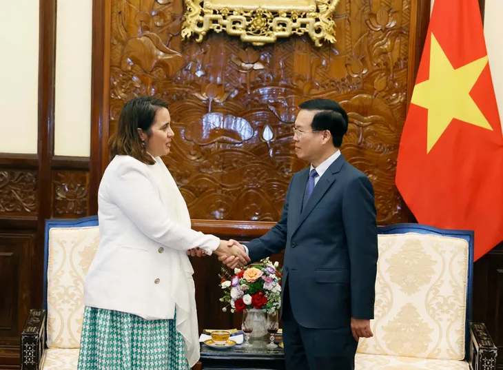 Chủ tịch nước Võ Văn Thưởng tiếp Đại sứ New Zealand và Peru - Ảnh 1. Chủ tịch nước Võ Văn Thưởng tiếp Đại sứ New Zealand và Peru - Ảnh 1.