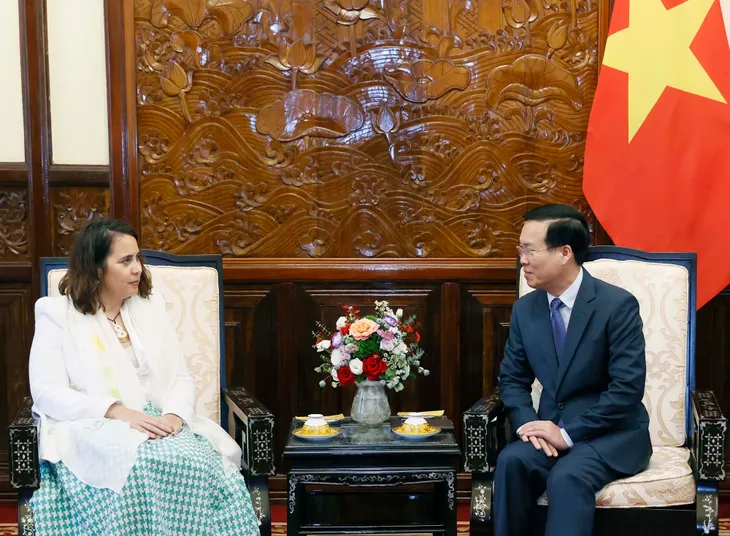 Chủ tịch nước Võ Văn Thưởng tiếp Đại sứ New Zealand và Peru - Ảnh 2. Chủ tịch nước Võ Văn Thưởng tiếp Đại sứ New Zealand và Peru - Ảnh 2.