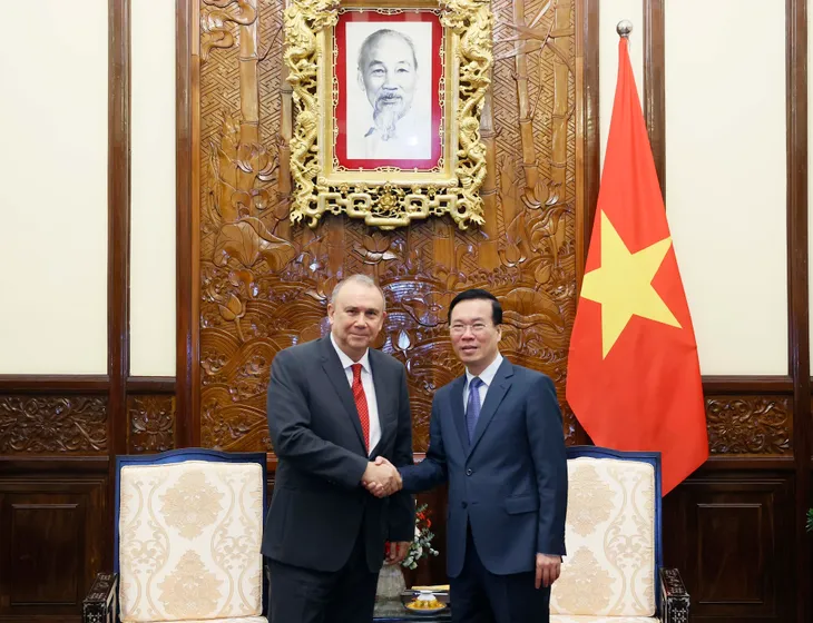Chủ tịch nước Võ Văn Thưởng tiếp Đại sứ New Zealand và Peru - Ảnh 3. Chủ tịch nước Võ Văn Thưởng tiếp Đại sứ New Zealand và Peru - Ảnh 3.
