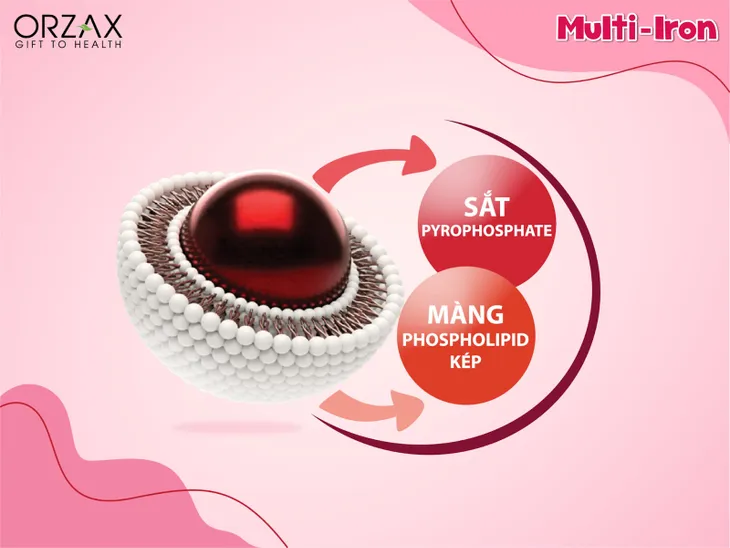 Sắt Lipofer® - Công nghệ mới phòng ngừa thiếu máu thiếu sắt cho bé - Ảnh 2.