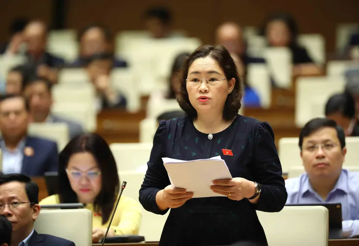 Đại biểu Quốc hội đề xuất quy định rõ việc phân cấp thực hiện chương trình mục tiêu quốc gia - Ảnh 2. Đại biểu Quốc hội đề xuất quy định rõ việc phân cấp thực hiện chương trình mục tiêu quốc gia - Ảnh 2.
