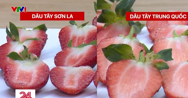 Dâu tây Sơn La bị giả mạo xuất xứ bán tràn lan, giá rẻ bằng một nửa - Ảnh 2.