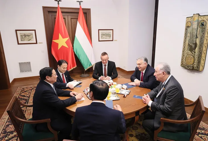 Tăng cường quan hệ đối tác toàn diện Việt Nam - Hungary - Ảnh 2. Tăng cường quan hệ đối tác toàn diện Việt Nam - Hungary - Ảnh 2.