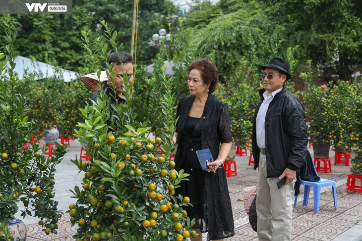 Hà Nội: Tiểu thương đưa đào, quất xuống phố đón Tết về - Ảnh 7. Hà Nội: Tiểu thương đưa đào, quất xuống phố đón Tết về - Ảnh 7.