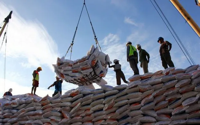Indonesia nhập khẩu 500.000 tấn gạo từ Việt Nam và 6 nước khác - Ảnh 1. Indonesia nhập khẩu 500.000 tấn gạo từ Việt Nam và 6 nước khác - Ảnh 1.